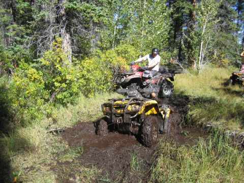 2004 Honda TRX 350 FE