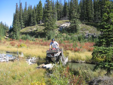 2004 Honda TRX 350 FE