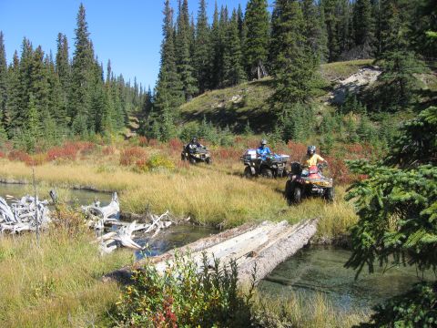 2004 Honda TRX 350 FE