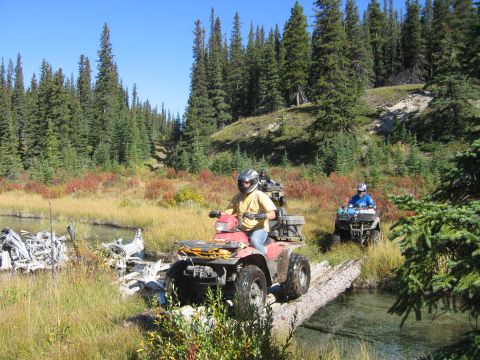 2004 Honda TRX 350 FE