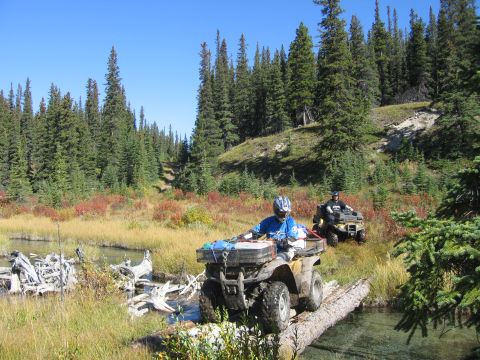 2004 Honda TRX 350 FE