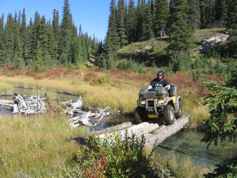 2004 Honda TRX 350 FE