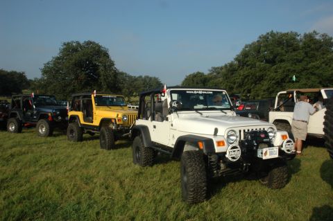 2001 Jeep Wrangler - A line of Jeep Wranglers, including a white one in the foreground, are parked on a grassy field under a clear blue sky.