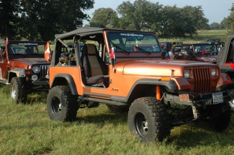 2001 Jeep Wrangler - Several Jeeps are gathered in a grassy field on a sunny day.