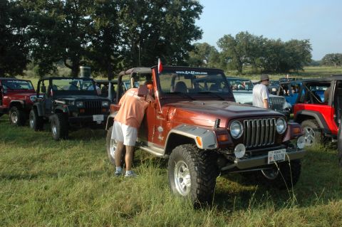 2001 Jeep Wrangler - A group of Jeep Wranglers are parked in a grassy field on a sunny day.