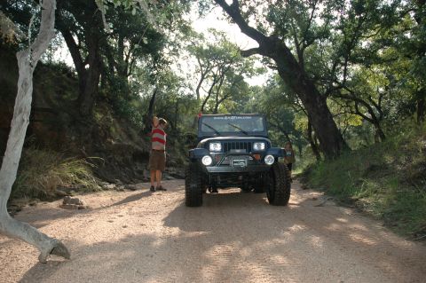 2001 Jeep Wrangler - A Jeep Wrangler is parked on a dirt road surrounded by trees, with a person standing nearby.