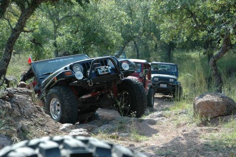 2001 Jeep Wrangler - Multiple Jeep Wranglers navigate a challenging rocky trail surrounded by trees.