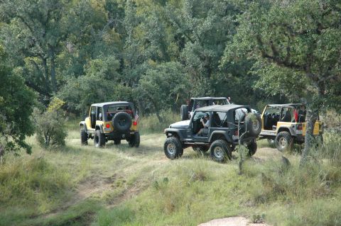 2001 Jeep Wrangler - Four Jeep Wranglers navigate a wooded trail, demonstrating off-road capability.