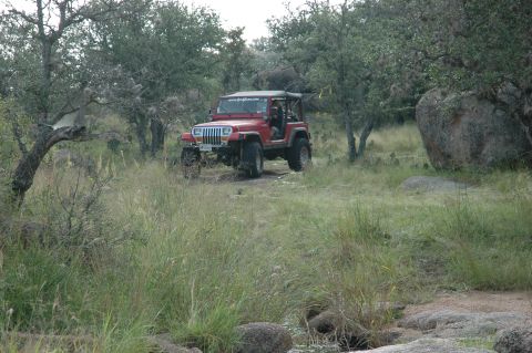 2001 Jeep Wrangler - A red 2001 Jeep Wrangler navigates a rough, grassy trail surrounded by trees and large rocks.