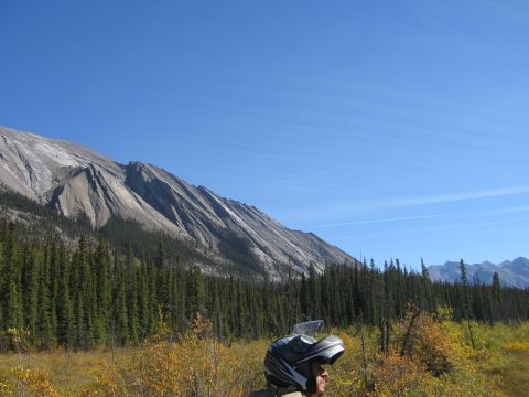 2004 Honda TRX 350 FE