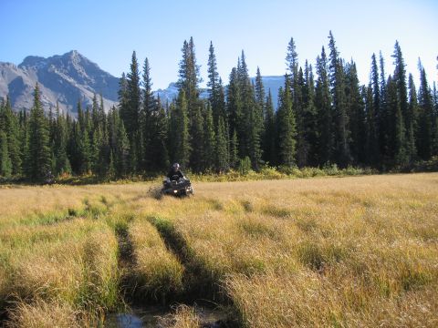 2004 Honda TRX 350 FE
