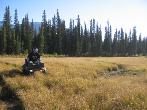 2004 Honda TRX 350 FE