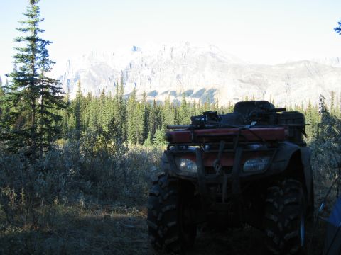 2004 Honda TRX 350 FE