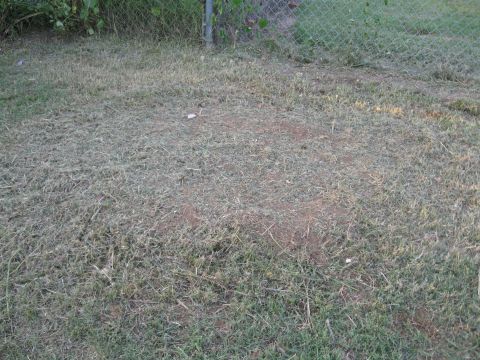 1988 Ford Bronco - A patch of dry grass and dirt is visible, with a chain-link fence in the background. The SuperMotors logo is in the lower right corner.