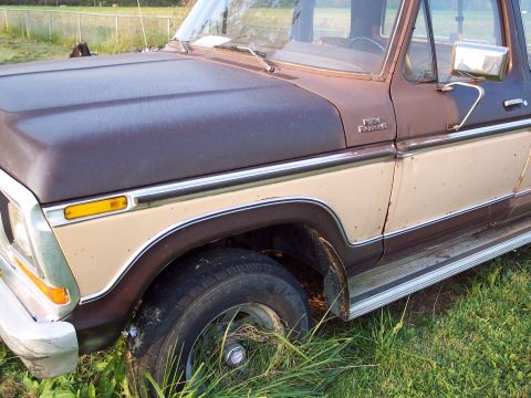 1978 Ford F-250 - This two-tone Ford F-250 shows its age with visible rust and overgrown grass surrounding it.