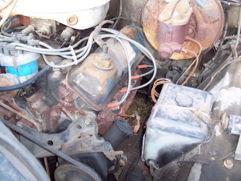 1978 Ford F-250 - The engine bay of a 1978 Ford F-250 shows signs of age and use.
