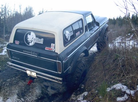 1979 Ford Bronco photo