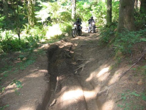 1979 Ford Bronco - Two dirt bikes navigate a rough, wooded trail during a vacation ride.