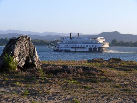 1979 Ford Bronco - A large riverboat travels on the water, with a tree stump and vegetation in the foreground.