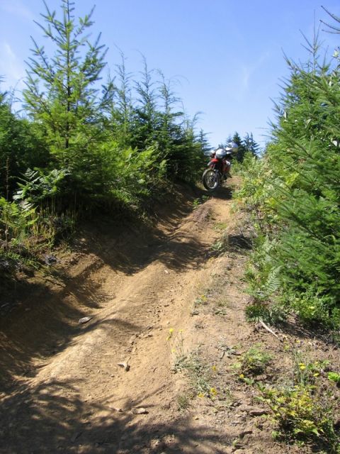 1979 Ford Bronco - A motorcycle rides up a dirt path surrounded by trees under a clear blue sky.
