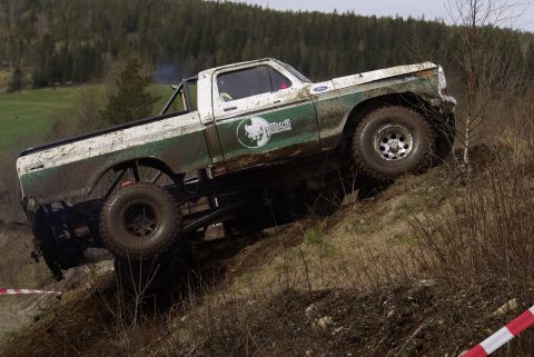1979 Ford F-150 photo
