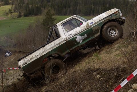 1979 Ford F-150 photo