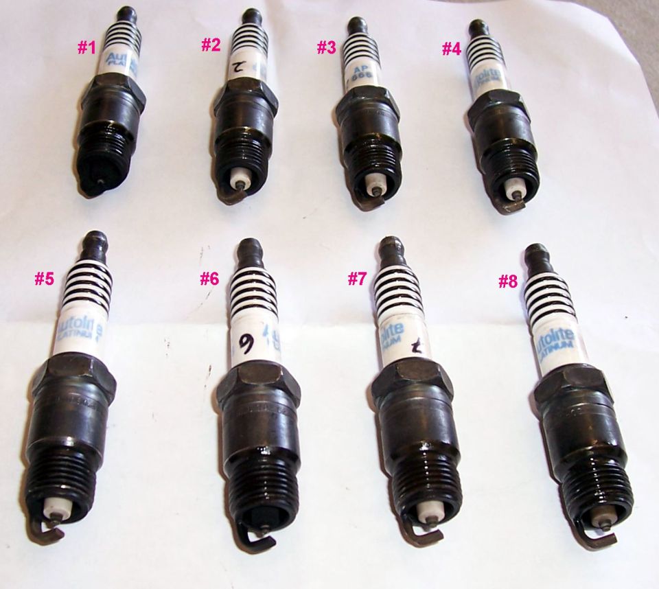 Eight spark plugs labeled #1 through #8, some with brand names visible