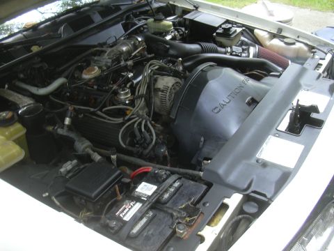1997 Ford Crown Victoria - The engine bay of a car, showing the V8 engine components and a battery.
