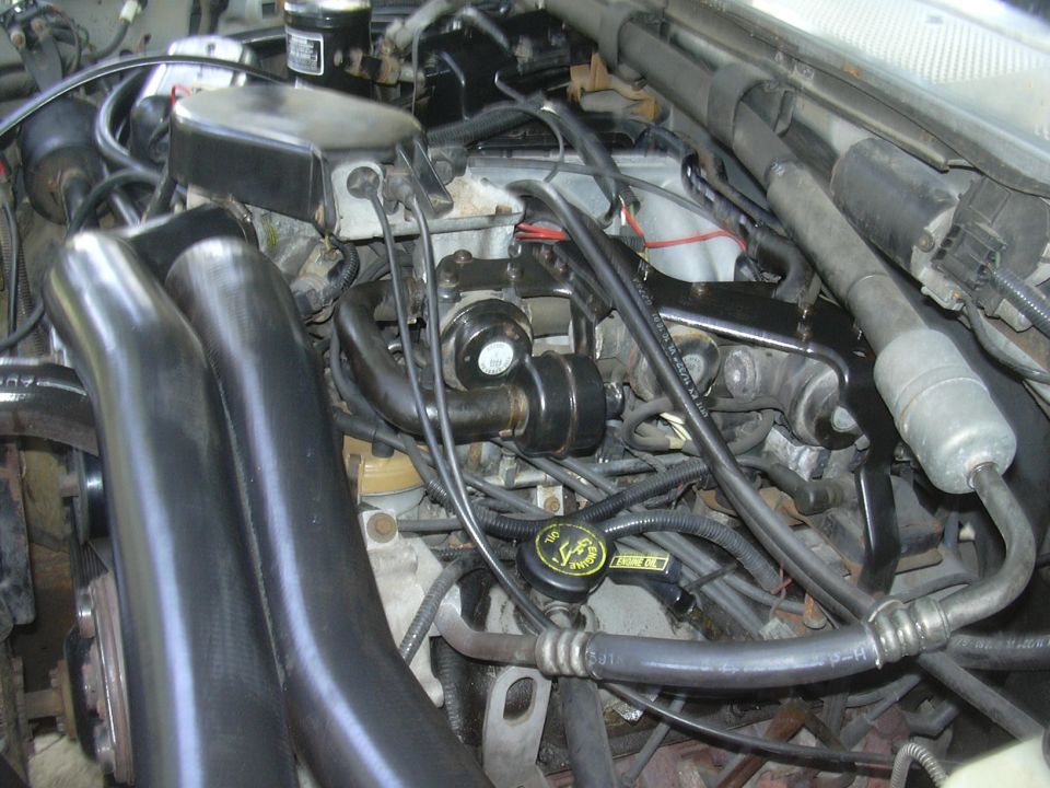 engine bay with black hoses and various engine components visible