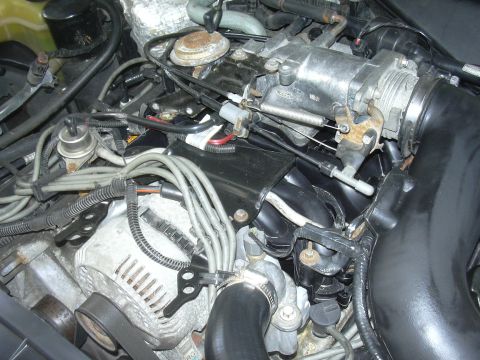 1997 Ford Crown Victoria - Close-up of a vehicle's engine bay, focusing on the alternator and throttle body components.