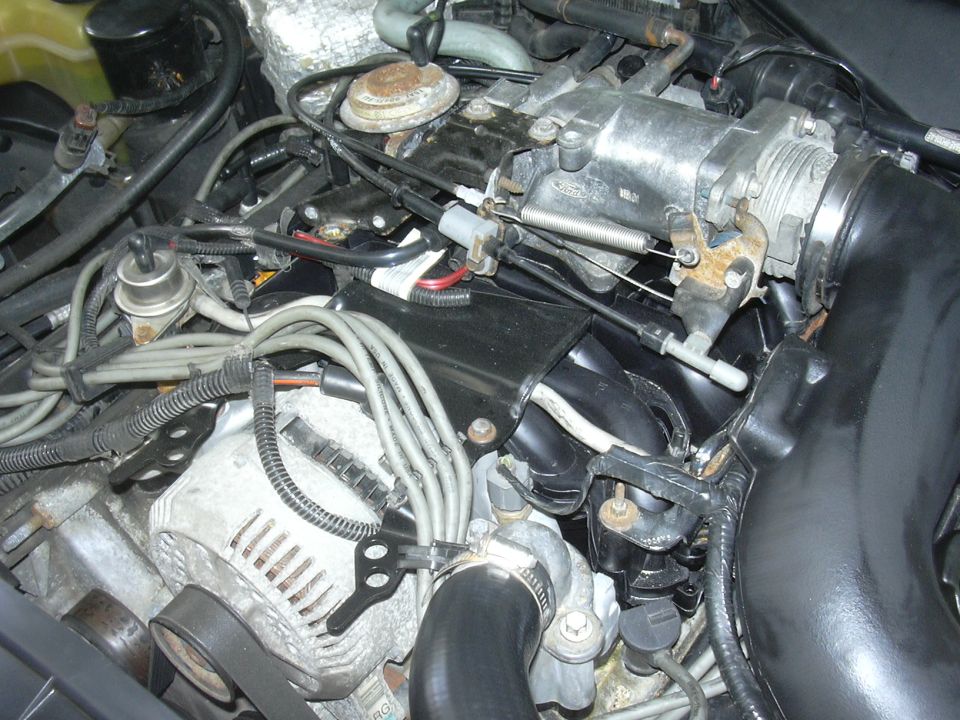 Engine bay view showing alternator, throttle body, spark plug wires, and intake manifold