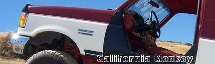 1989 Ford Bronco - For the monkey...