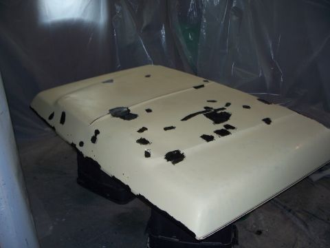 1979 Ford F-150 - Hood from a 1979 Ford F-150 showing significant paint and rust damage.