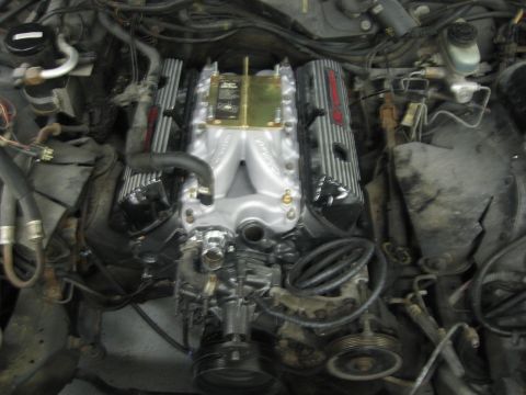1988 Mercury Grand Marquis - Engine bay with aftermarket intake and valve covers installed.