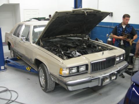 Project: MAGNA 302X