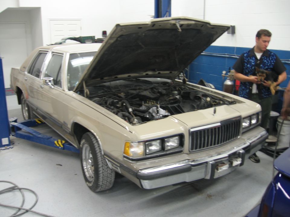 1988 Mercury Grand Marquis on a lift with hood open, showing the engine bay. A man holds a small dog to the right