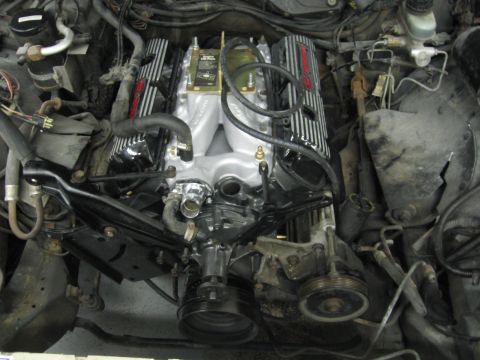 1988 Mercury Grand Marquis - Engine bay view showing aftermarket valve covers and intake manifold, with visible Supermotors.net watermark.