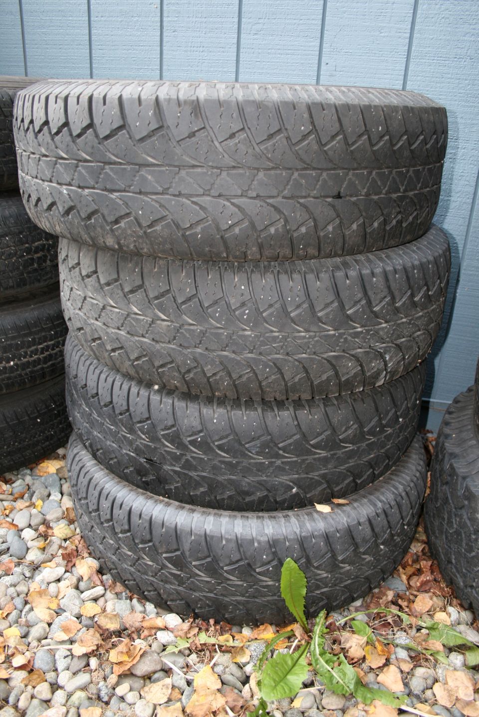 Wild Country Radial XTX P265-75-R15