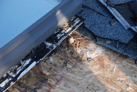 1996 Ford Bronco - Close-up view of damaged roofing materials, showing exposed plywood and shingles.