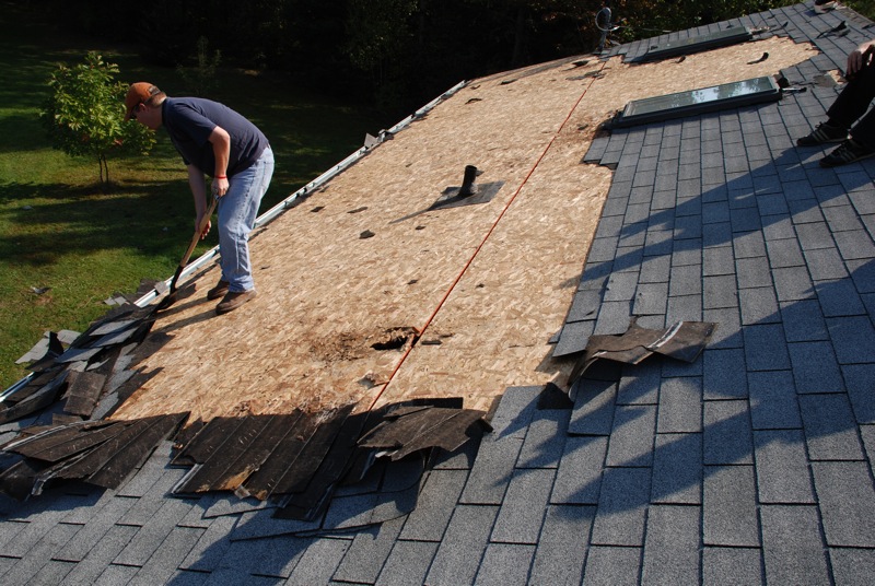 Man removing shingles from a roof during repair, with exposed plywood and new shingles being laid