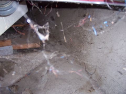 1991 Ford Bronco - This image shows a close-up of cobwebs and scattered debris on a concrete floor, with no discernible vehicle present.