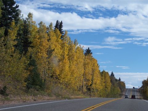 1972 Ford Ranchero - A highway curves through a landscape dotted with trees displaying autumn foliage under a partly cloudy sky.