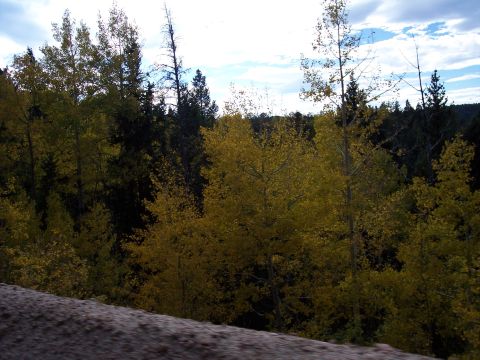 1972 Ford Ranchero - A scenic view of trees in autumn foliage under a partly cloudy sky.