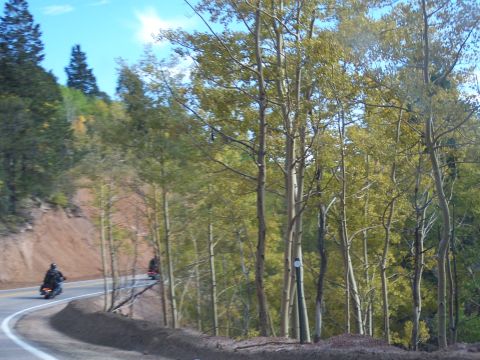 1972 Ford Ranchero - Motorcycles travel along a scenic mountain road bordered by aspen trees in autumn.