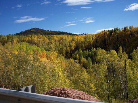 1972 Ford Ranchero - A scenic view of a mountain covered in trees displaying vibrant autumn foliage under a bright blue sky.