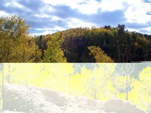 1972 Ford Ranchero - A scenic view of a hillside covered in trees displaying autumn colors under a dramatic sky.