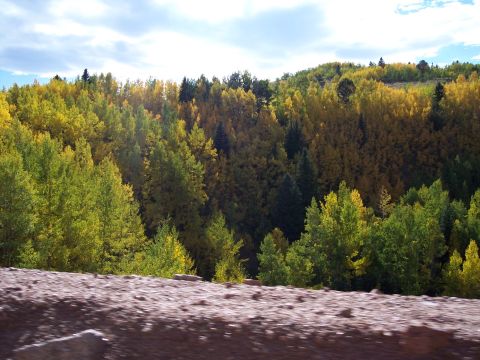 1972 Ford Ranchero - Autumn foliage blankets a hillside, with a mix of green and yellow leaves under a partly cloudy sky.