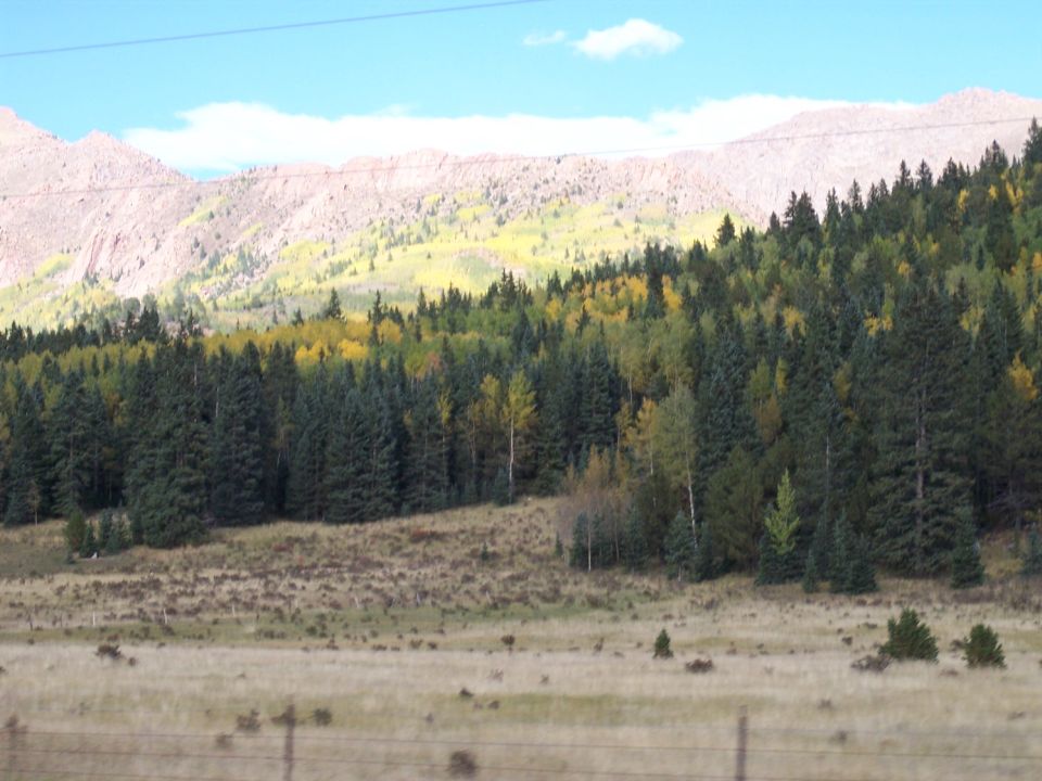 Mountain landscape with pine and aspen trees in autumn colors under a blue sky