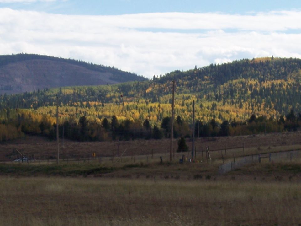 Autumn landscape with rolling hills and scattered trees under a cloudy sky