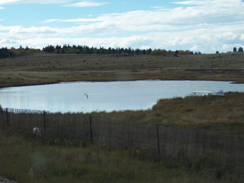1972 Ford Ranchero - A small white boat rests on the grassy bank of a calm lake under a partly cloudy sky.